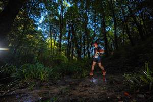 BIB: 
                            <button type="button" onclick="openModal(19233252)" class="btn btn-primary btn-sm float-right btn-popup" data-toggle="modal" data-target=".modal-high-quality">
                        <i class="fas fa-shopping-cart"></i> Add to Cart
                    </button>
                                            <button type="button" onclick="isThisMe(19233252, true)" class="btn btn-success btn-sm float-right btn-popup btn-isme hidden" data-toggle="tooltip" data-placement="bottom" title="นี่คือรูปของคุณใช่ไหม คลิกที่นี่เพื่อเอาเข้าอัลบั้ม">
                        <i class="fas fa-plus"></i> Add to album
                    </button>
                    <button type="button" onclick="isThisMe(19233252, false)" class="btn btn-warning btn-sm float-right btn-popup btn-isnotme hidden">
                        <i class="fas fa-ban"></i> Remove from album
                    </button>